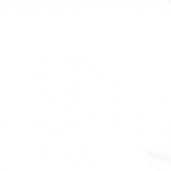 DAF CF 85 360 Chassi Cab